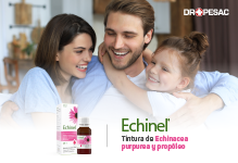 Echinel