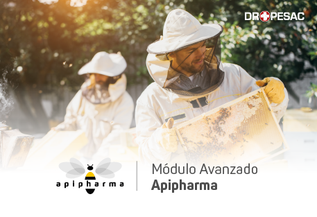 Modulo Avanzado Apipharma
